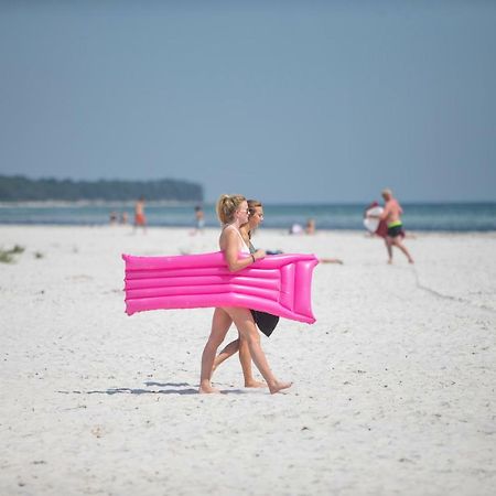 Dueodde Strand Camping المظهر الخارجي الصورة