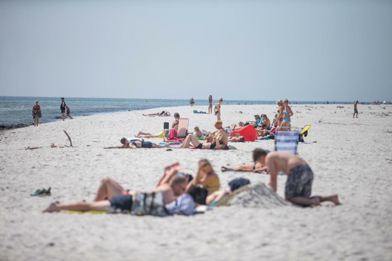 Dueodde Strand Camping المظهر الخارجي الصورة