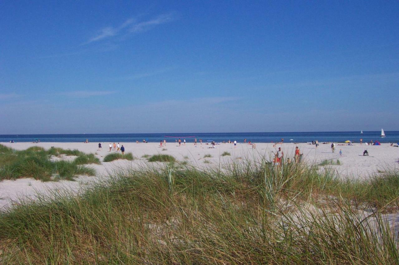 Dueodde Strand Camping المظهر الخارجي الصورة