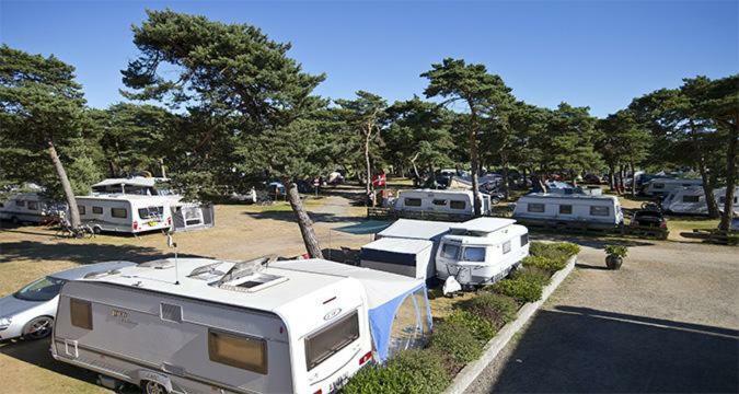 Dueodde Strand Camping المظهر الخارجي الصورة