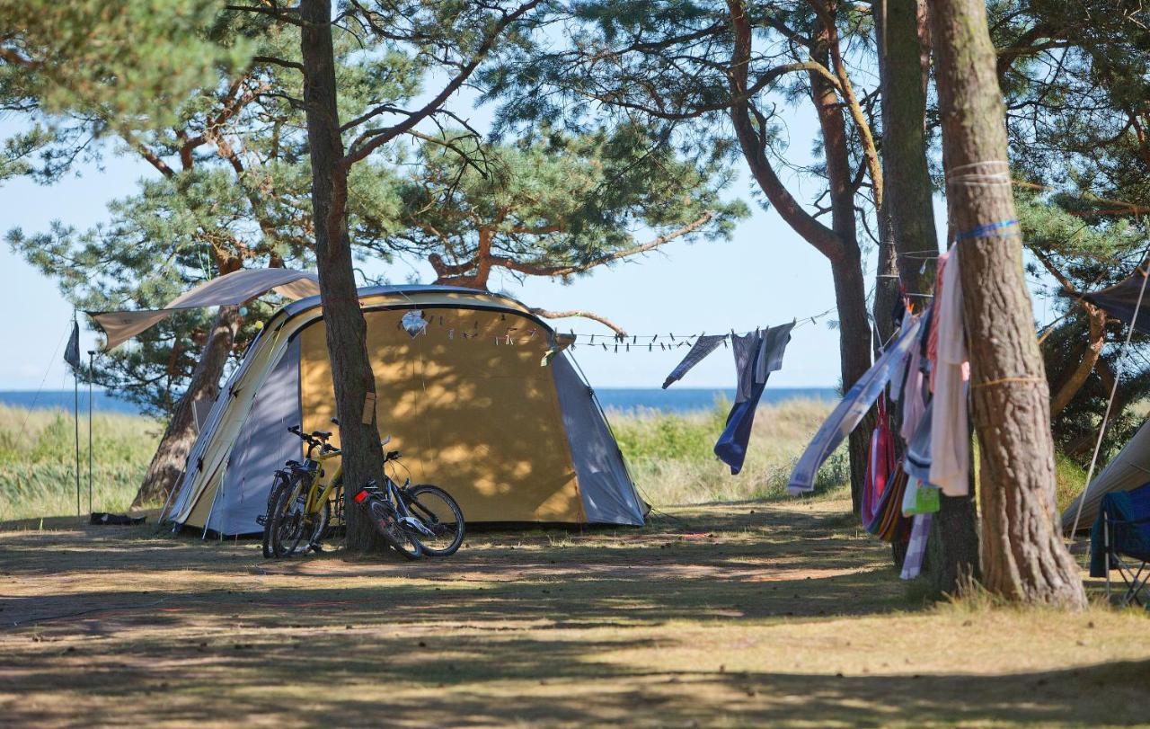 Dueodde Strand Camping المظهر الخارجي الصورة